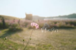 浜松の出張撮影カメラマン「時々フォト」