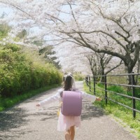 入園入学・卒園卒業の記念撮影(出張撮影の時々フォト)